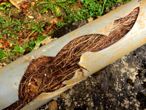 Sewer repair in Kansas City