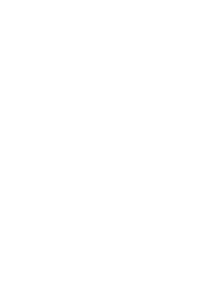 Tesla Logo