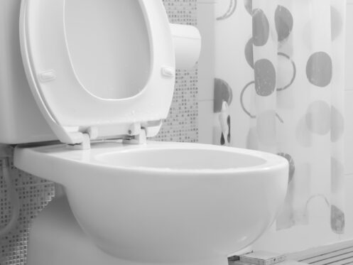 Toilet Installation in Kansas City, MO